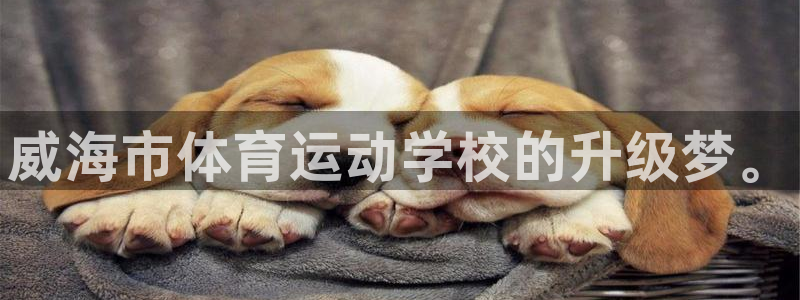 vsport体育官网下载:威海市体育运动学校的升级梦。