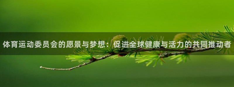 vsport体育官网下载软件:体育运动委员会的愿景与梦想:促